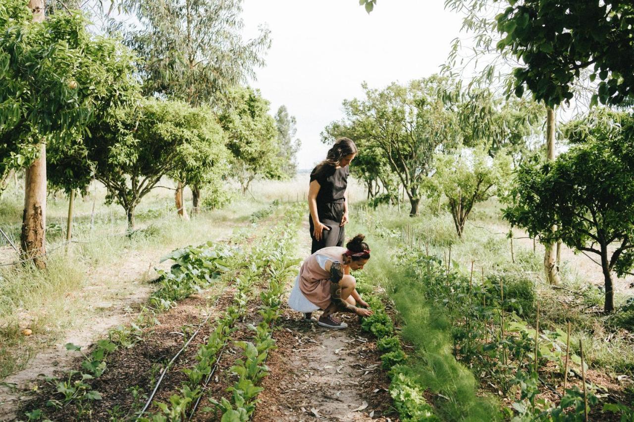Humus Farm Villa Águas de Moura Eksteriør billede