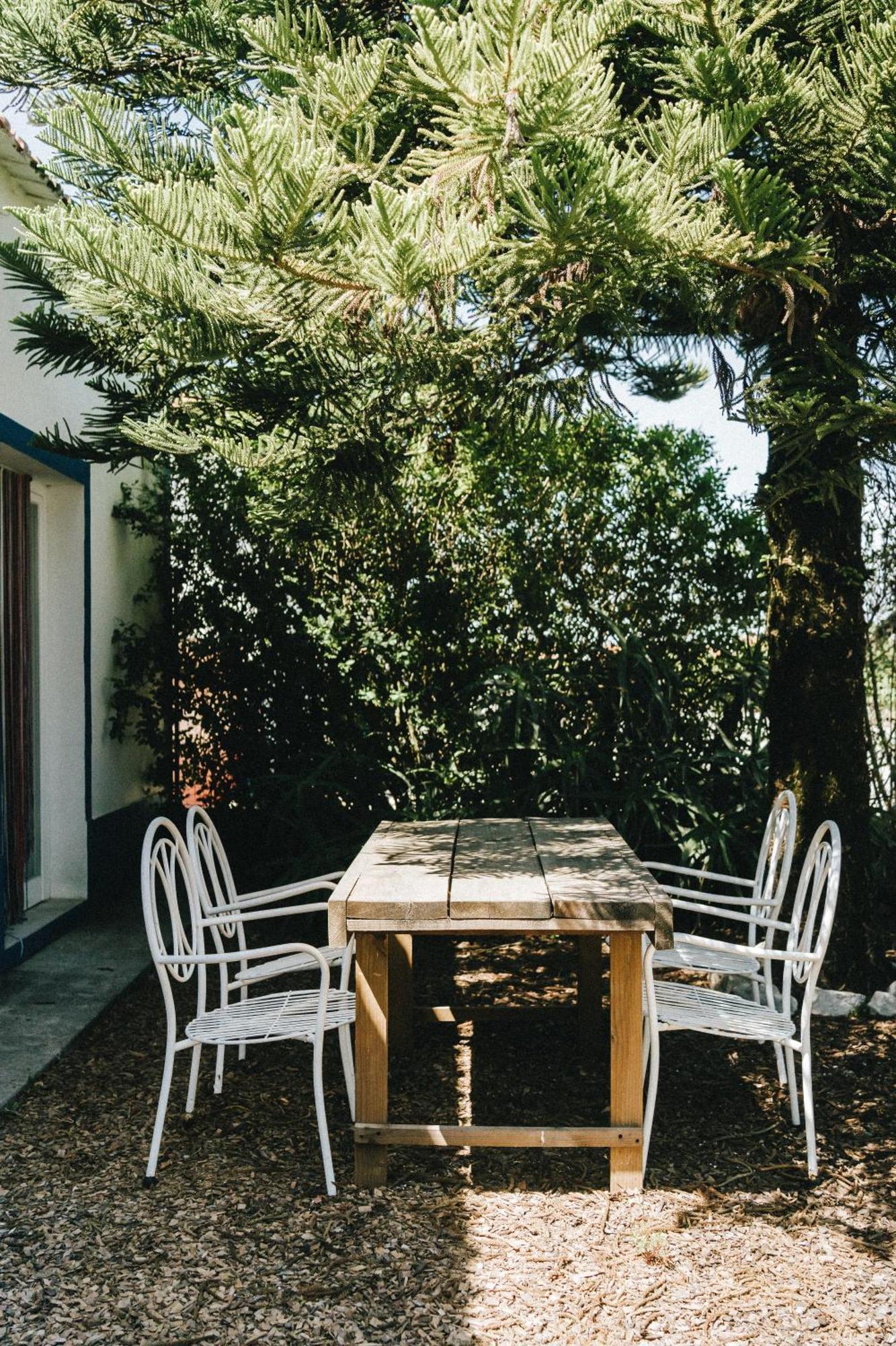 Humus Farm Villa Águas de Moura Værelse billede